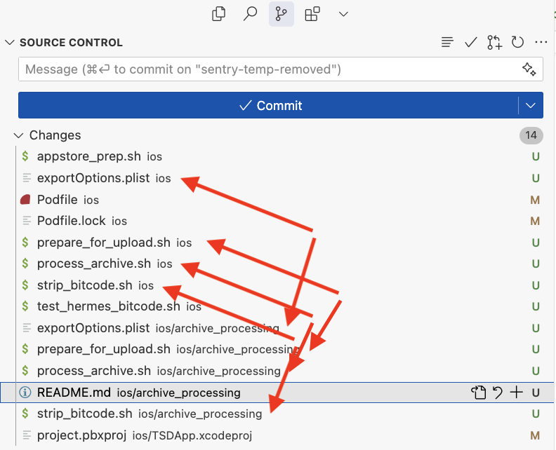 Example 1: Duplicate files in iOS directory